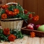 Шампанское из бархатцев 🌼✨ 8