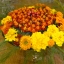 Шампанское из бархатцев 🌼✨ 3