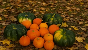 🎃«Зебра из тыквы и творога: эксперимент, который стоил ожидания»